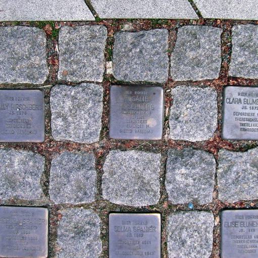 Foto von Stolpersteinen, die im Stadtgebiet Barsinghausen in der Straße verlegt sind