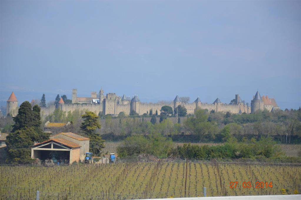 Blick auf die Cité von Carcassonne